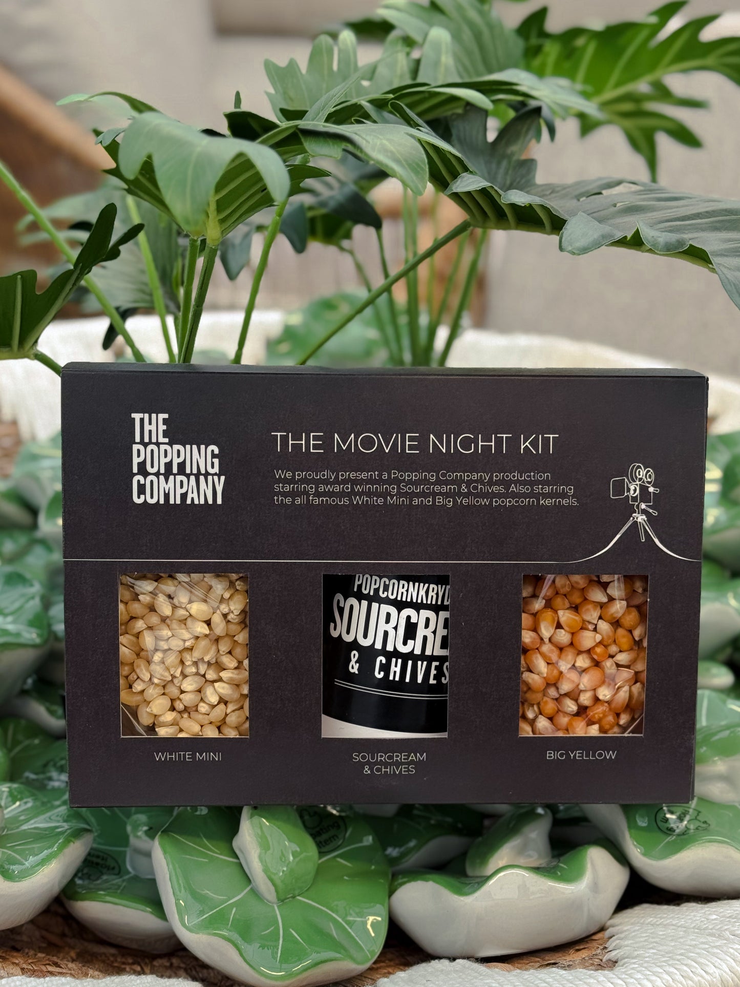 The Movie Night Kit